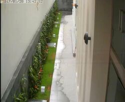 Serangoon North Avenue 1 (D19), Detached #446635431